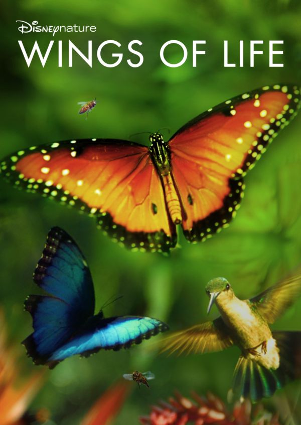 Disneynature Wings of Life on Disney+ AU