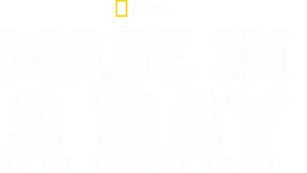 Made in a Day