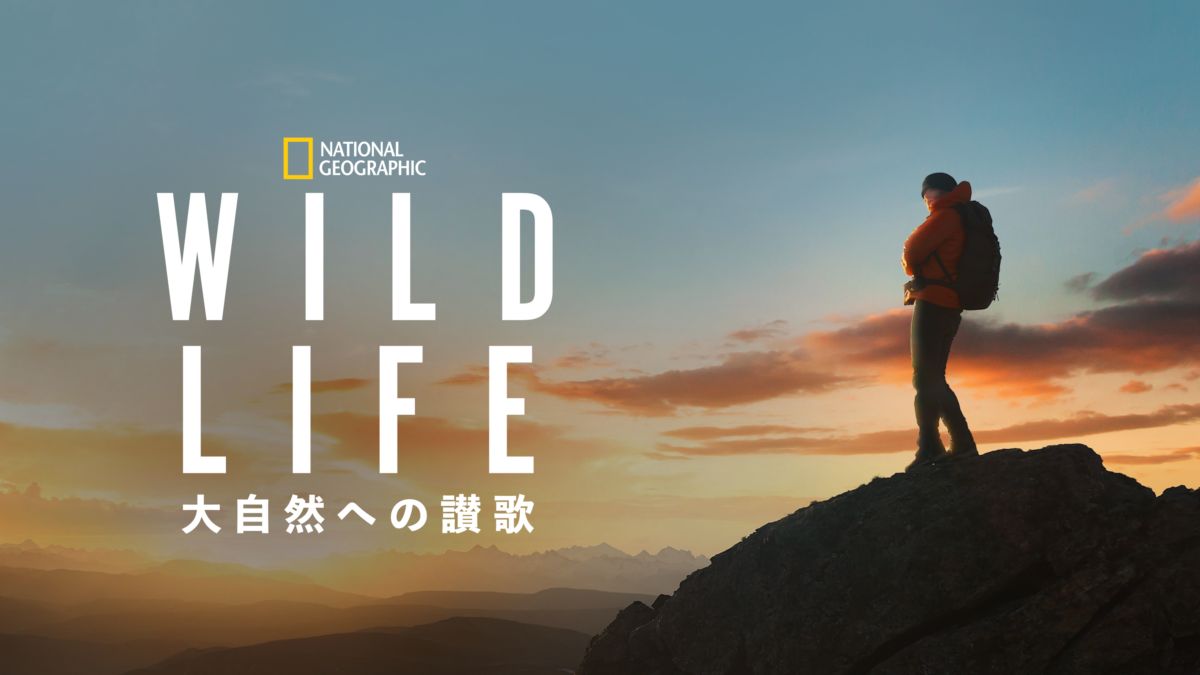 WILD LIFE 大自然への讃歌を視聴 Disney+(ディズニープラス)