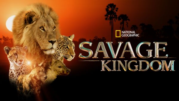 Savage Kingdom on Disney+ in the UK