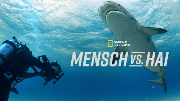 thumbnail - Mensch vs. Hai