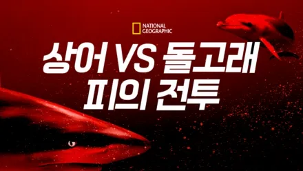 thumbnail - 상어 vs 돌고래: 피의 전투