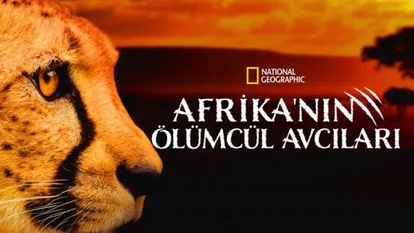 thumbnail - Afrika'nın Ölümcül Avcıları