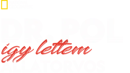 Dr. Pol: Így lettem állatorvos