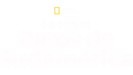 Los más raros de Sudamérica