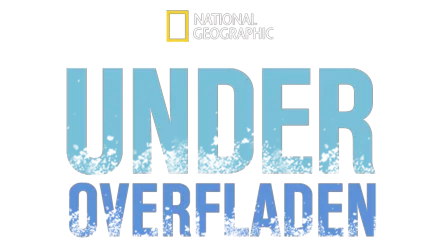 Under overfladen