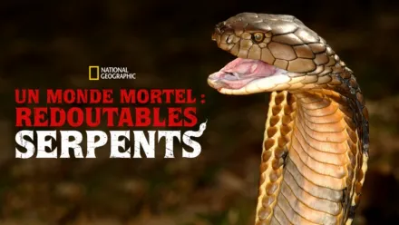 thumbnail - Un monde mortel : redoutables serpents