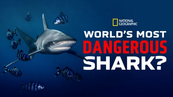 thumbnail - World's Most Dangerous Shark?