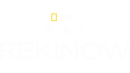 Raj rekinów