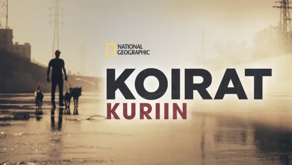 thumbnail - Koirat kuriin