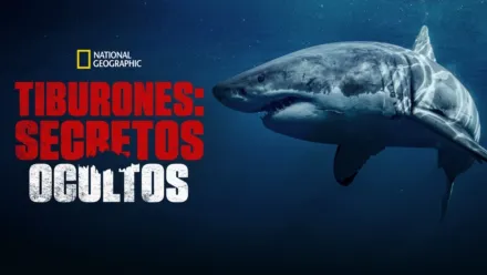 thumbnail - Tiburones: Secretos ocultos