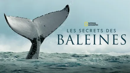 thumbnail - Les Secrets des Baleines