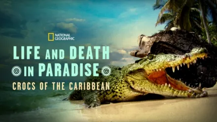 thumbnail - Life and Death in Paradise: Crocs of the Carribbean