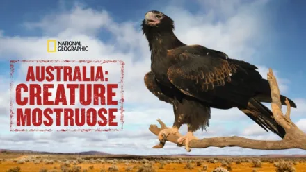 thumbnail - Australia: creature mostruose