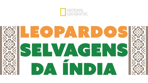 Leopardos Selvagens da Índia