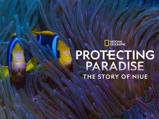 Watch Protecting Paradise: The Story of Niue | Disney+