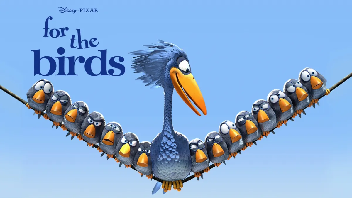 Watch For the Birds | Disney+