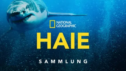 thumbnail - National Geographic – Haie