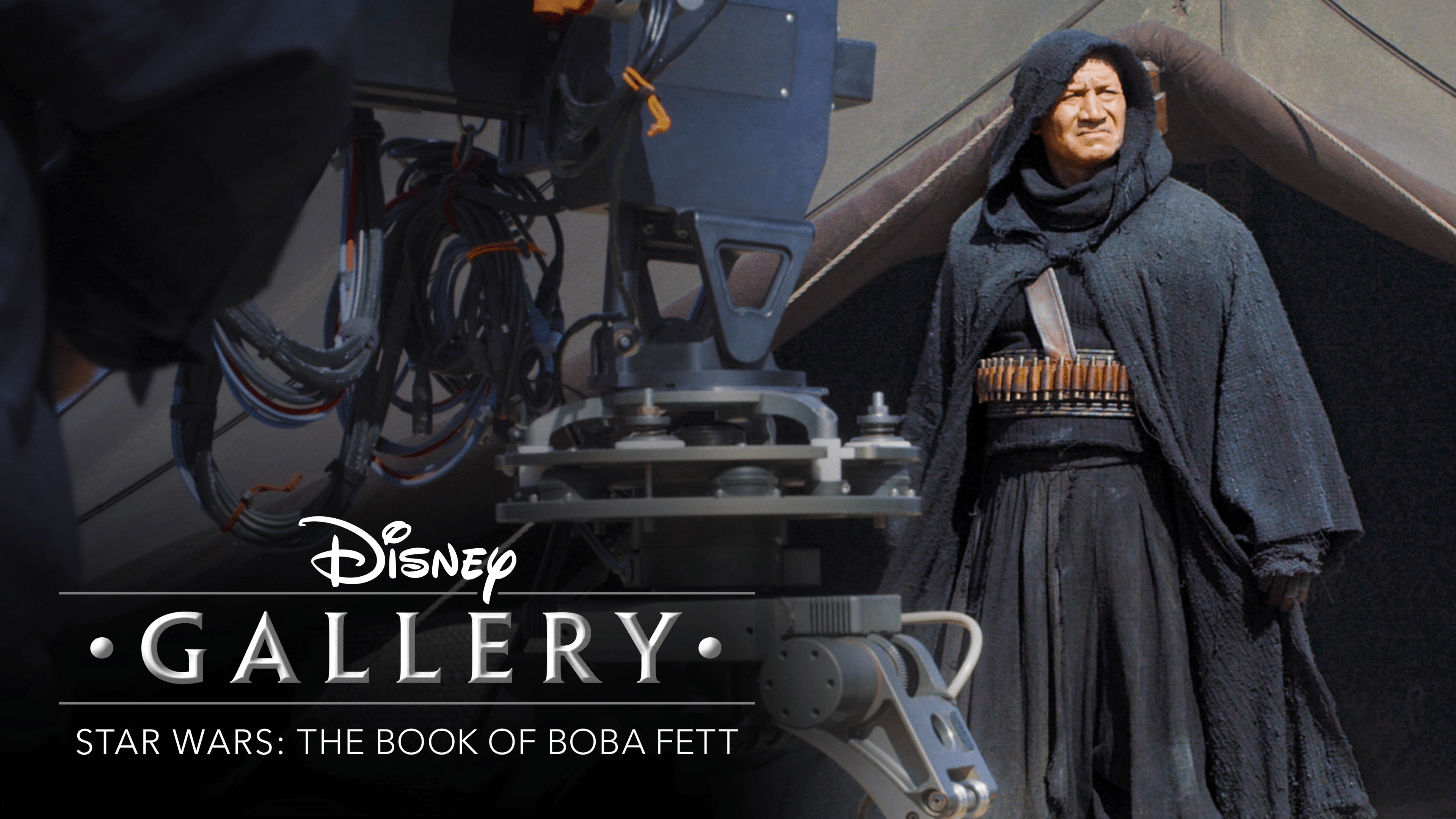 Disney Gallery: The Book of Boba Fett