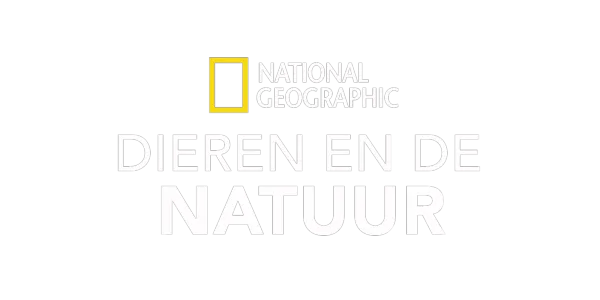 National Geographic: Dieren en natuur Title Art Image