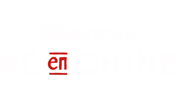 Disneynature : Né en Chine