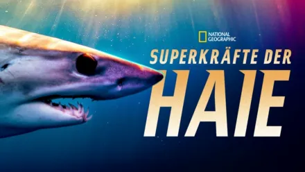 thumbnail - Superkräfte der Haie