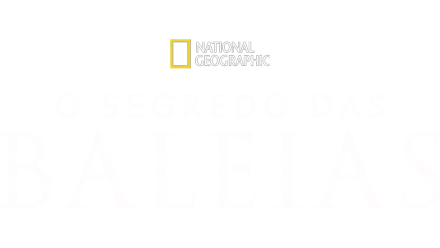 O Segredo das Baleias