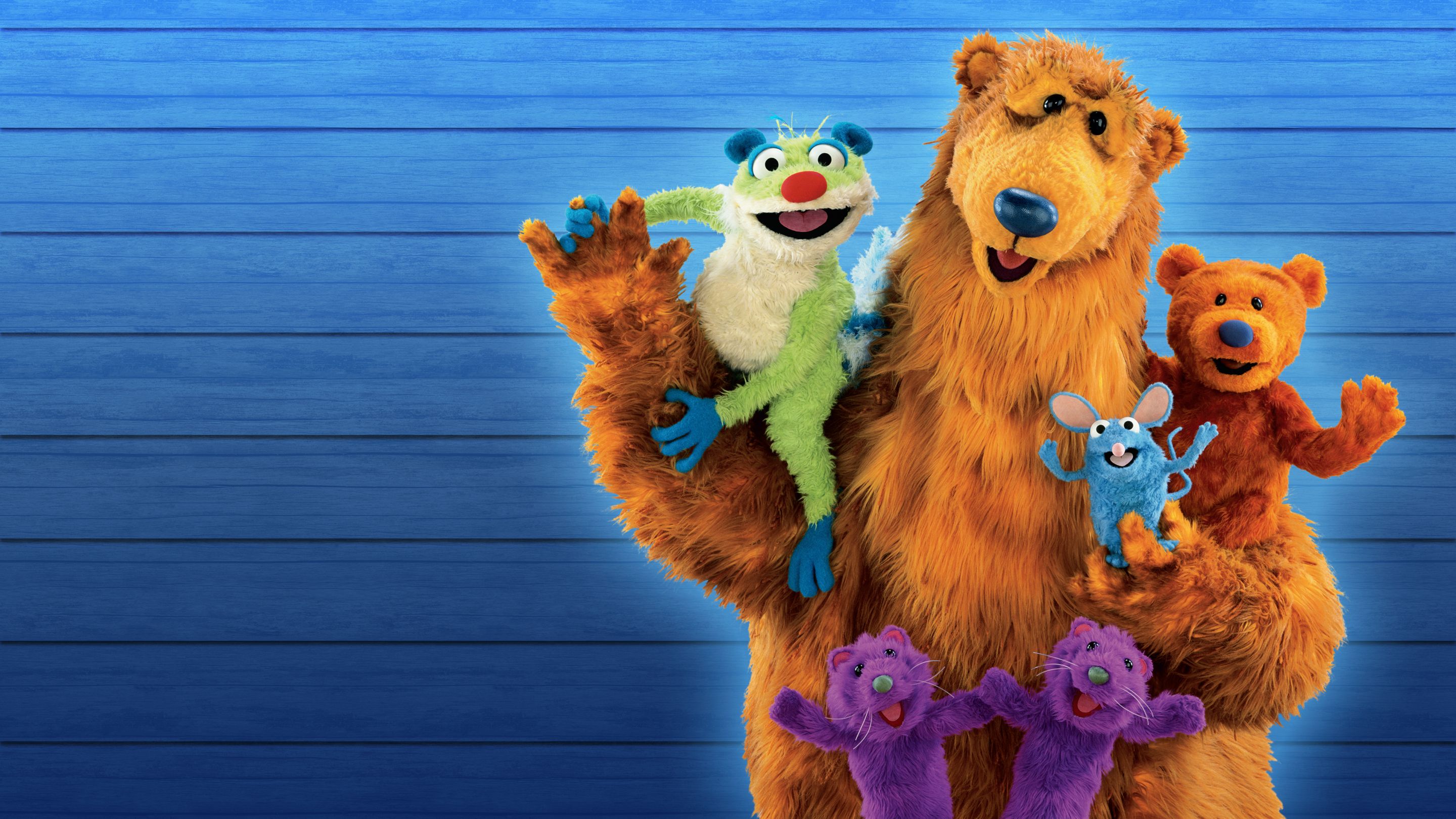Watch bear in the big blue house | disney+