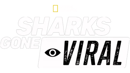 Sharks Gone Viral