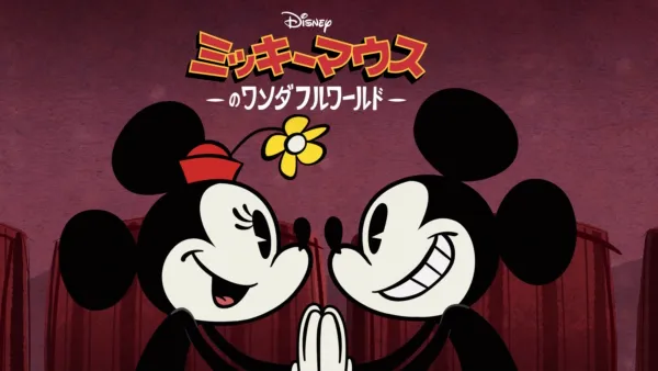 ディズニー ミッキー&ミニー オルゴール 星にねがいを 日本製