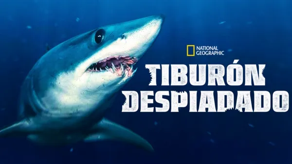 thumbnail - Tiburón despiadado