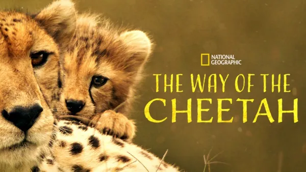thumbnail - The Way of the Cheetah