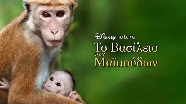 thumbnail - Βασίλειο των Μαϊμούδων