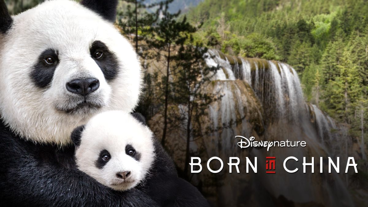 Watch Disneynature Born in China Full movie Disney+