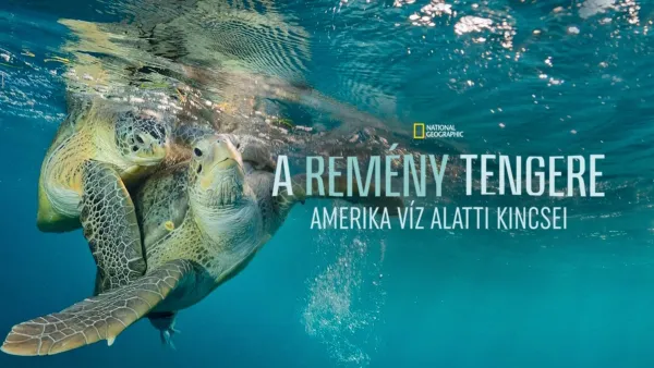 thumbnail - A remény tengere: Amerika víz alatti kincsei