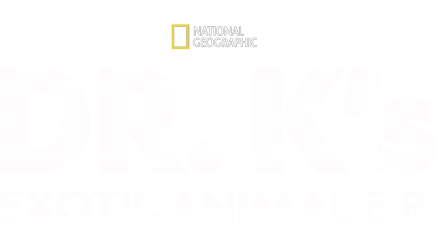 Dr. K's Exotic Animal ER