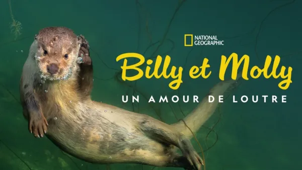 thumbnail - Billy et Molly : Un amour de loutre