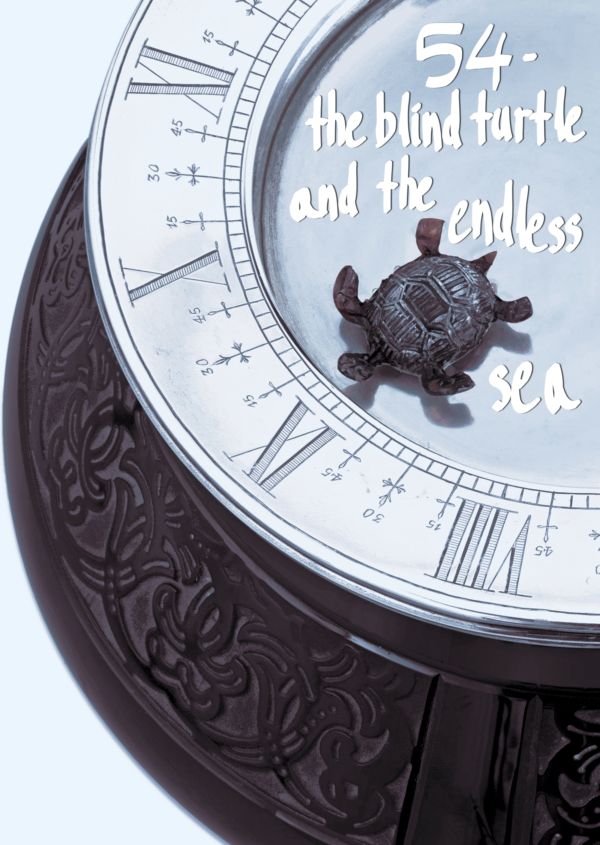 The Blind Turtle and the Endless Sea on Disney+ ES