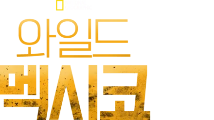 와일드 멕시코