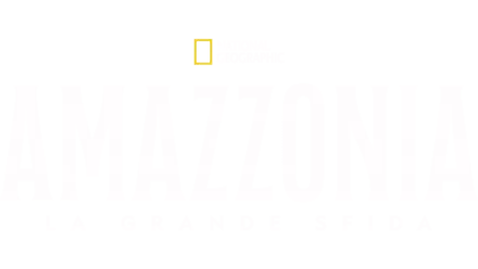 Amazzonia: la grande sfida