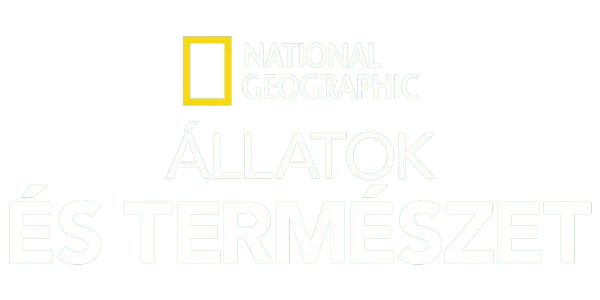 National Geographic – állatok és természet Title Art Image