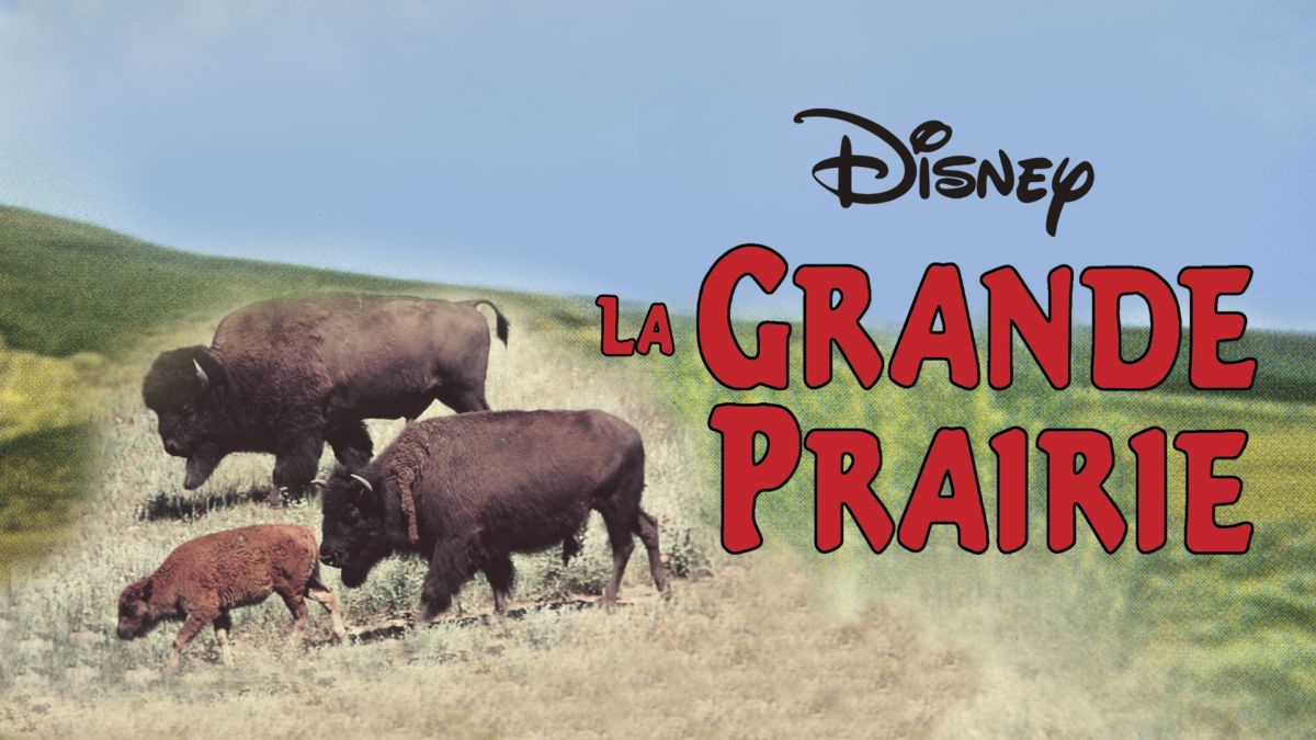 La Grande Prairie Disney+