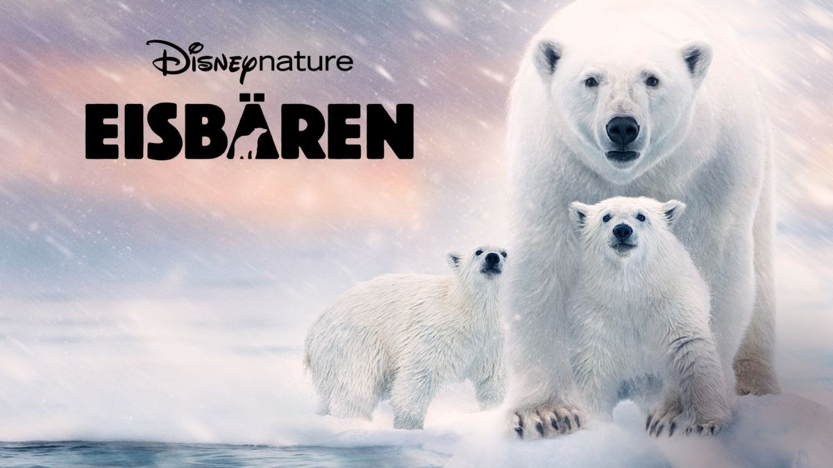 Eisbären streamen Ganzer Film Disney+