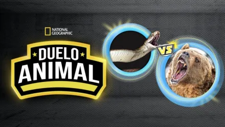 thumbnail - Duelo Animal