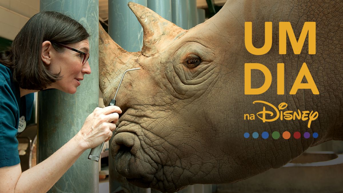 Ver Um Dia na Disney Disney+