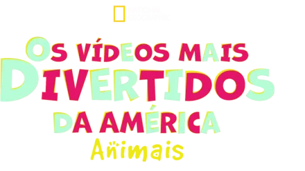 Os Vídeos Mais Divertidos da América: Animais