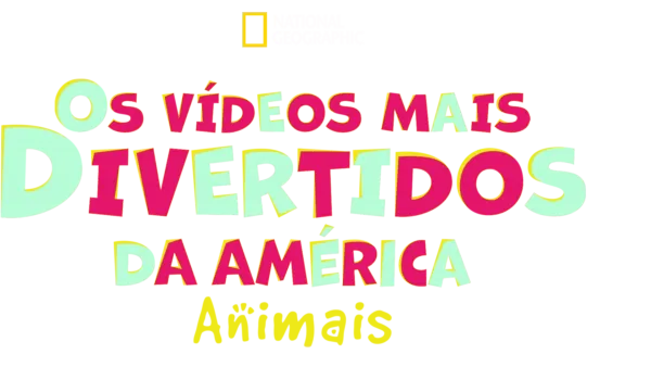 Os Vídeos Mais Divertidos da América: Animais