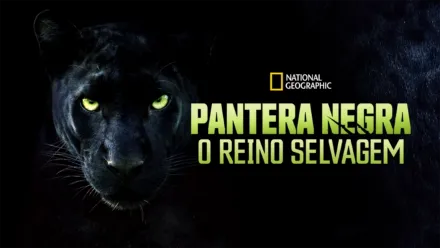 thumbnail - Pantera Negra: O Reino Selvagem