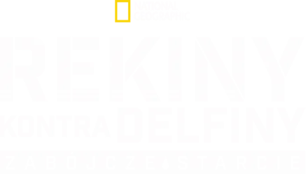 Rekiny kontra delfiny: zabójcze starcie