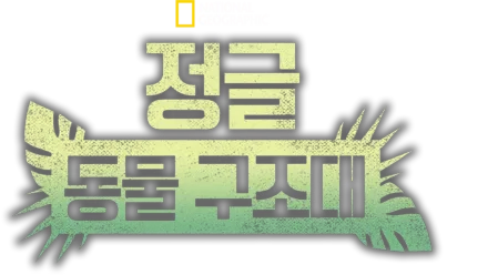 정글 동물 구조대